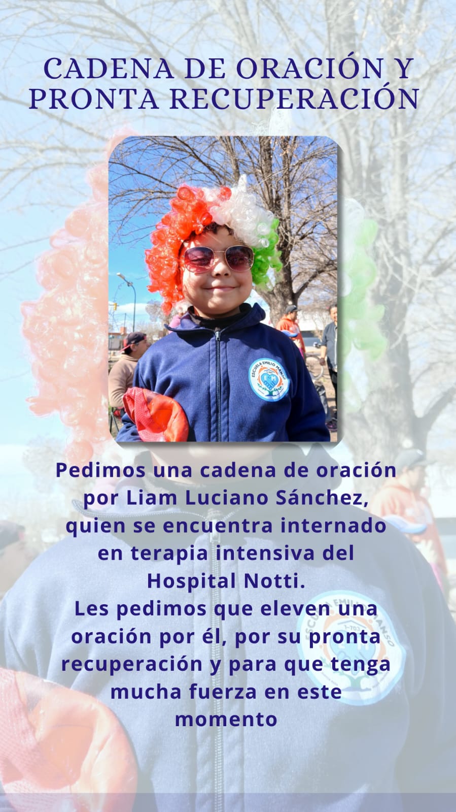 Imagen adicional