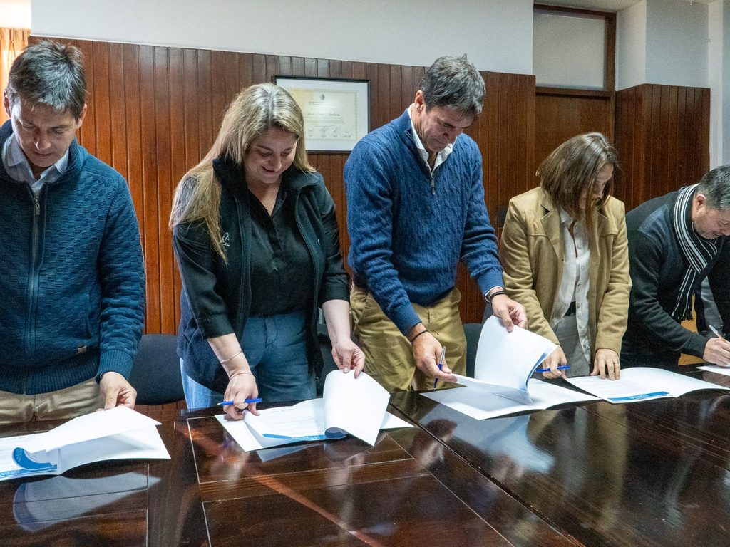 Imagen adicional