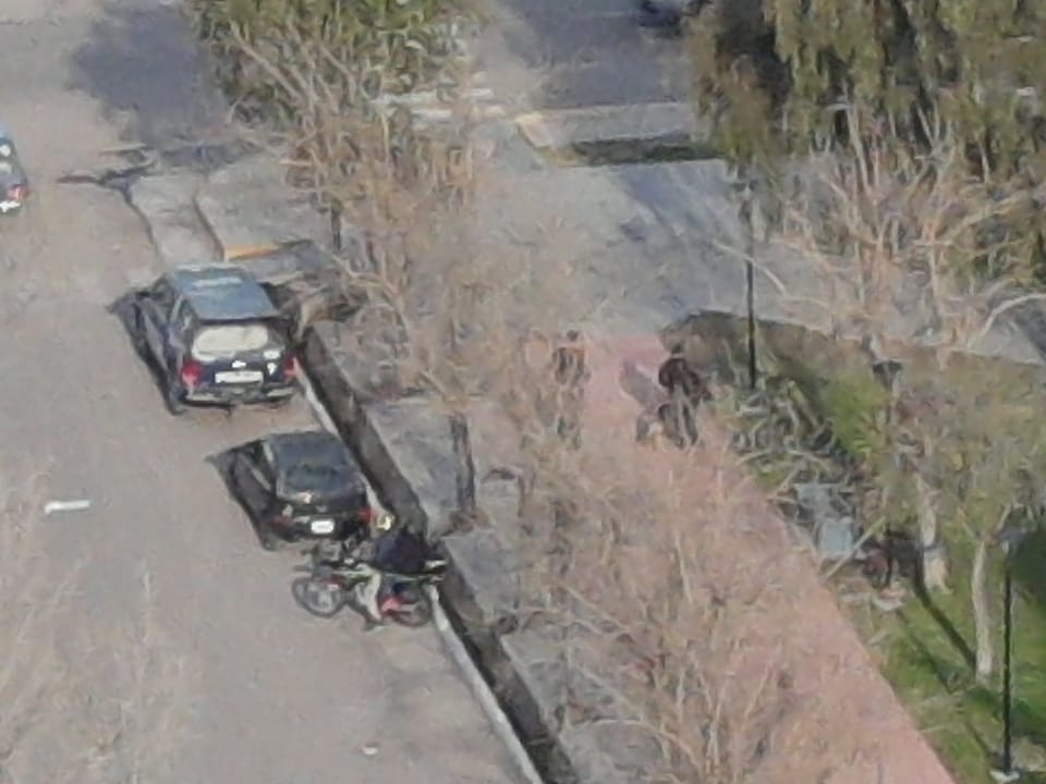 Imagen adicional
