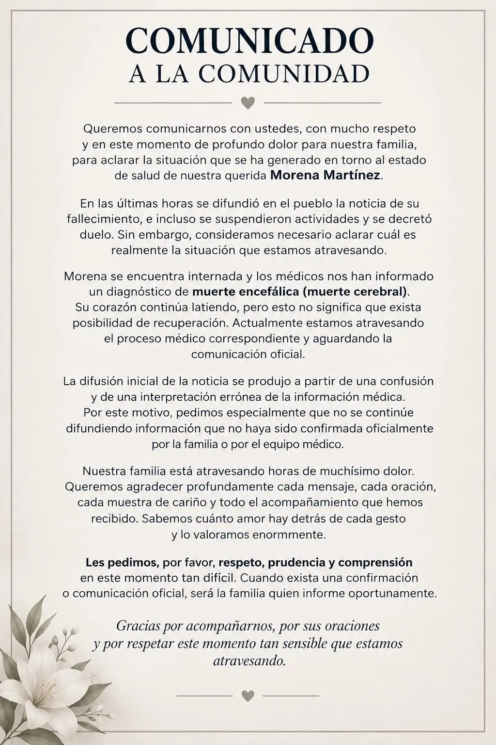 Imagen adicional