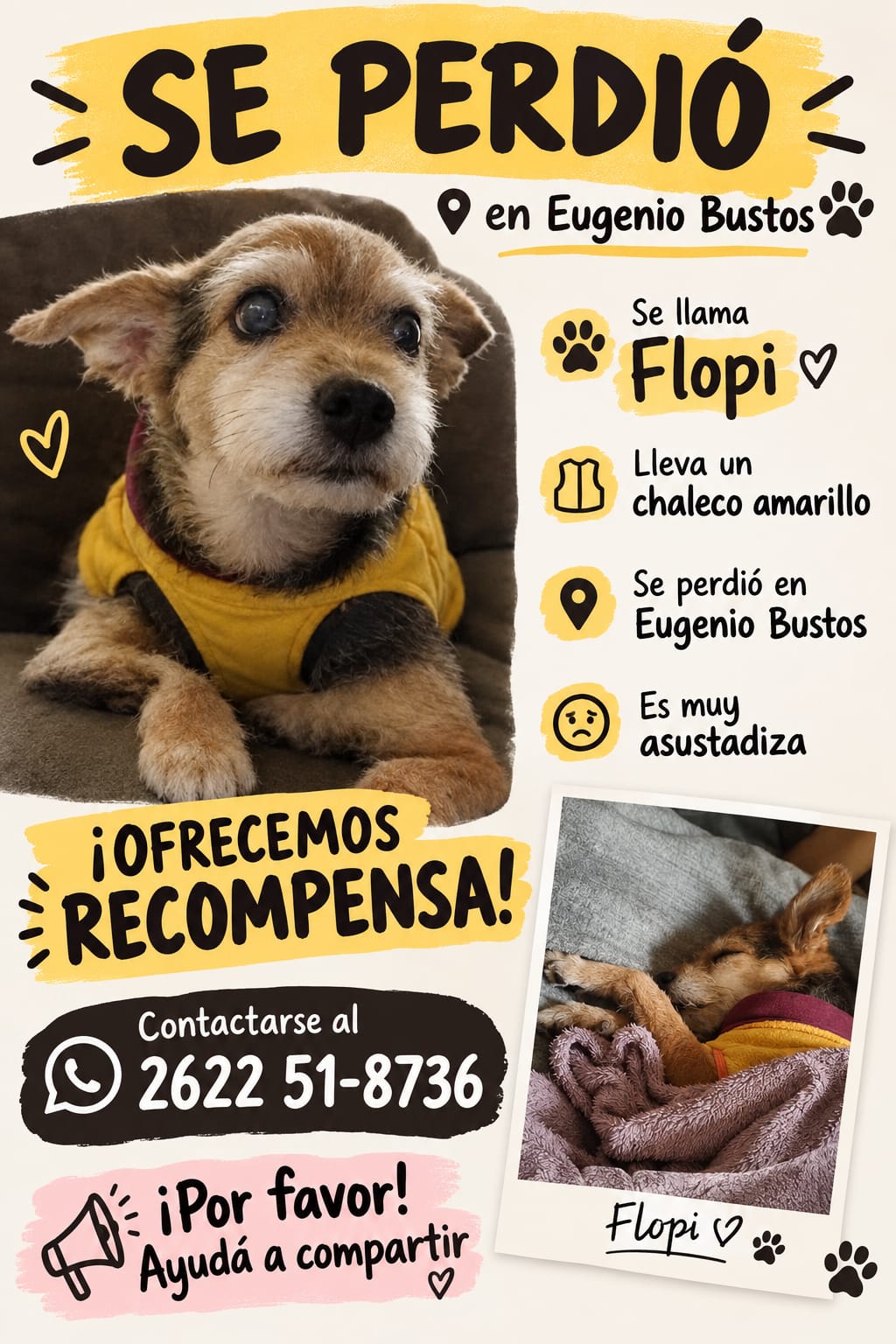 Imagen adicional