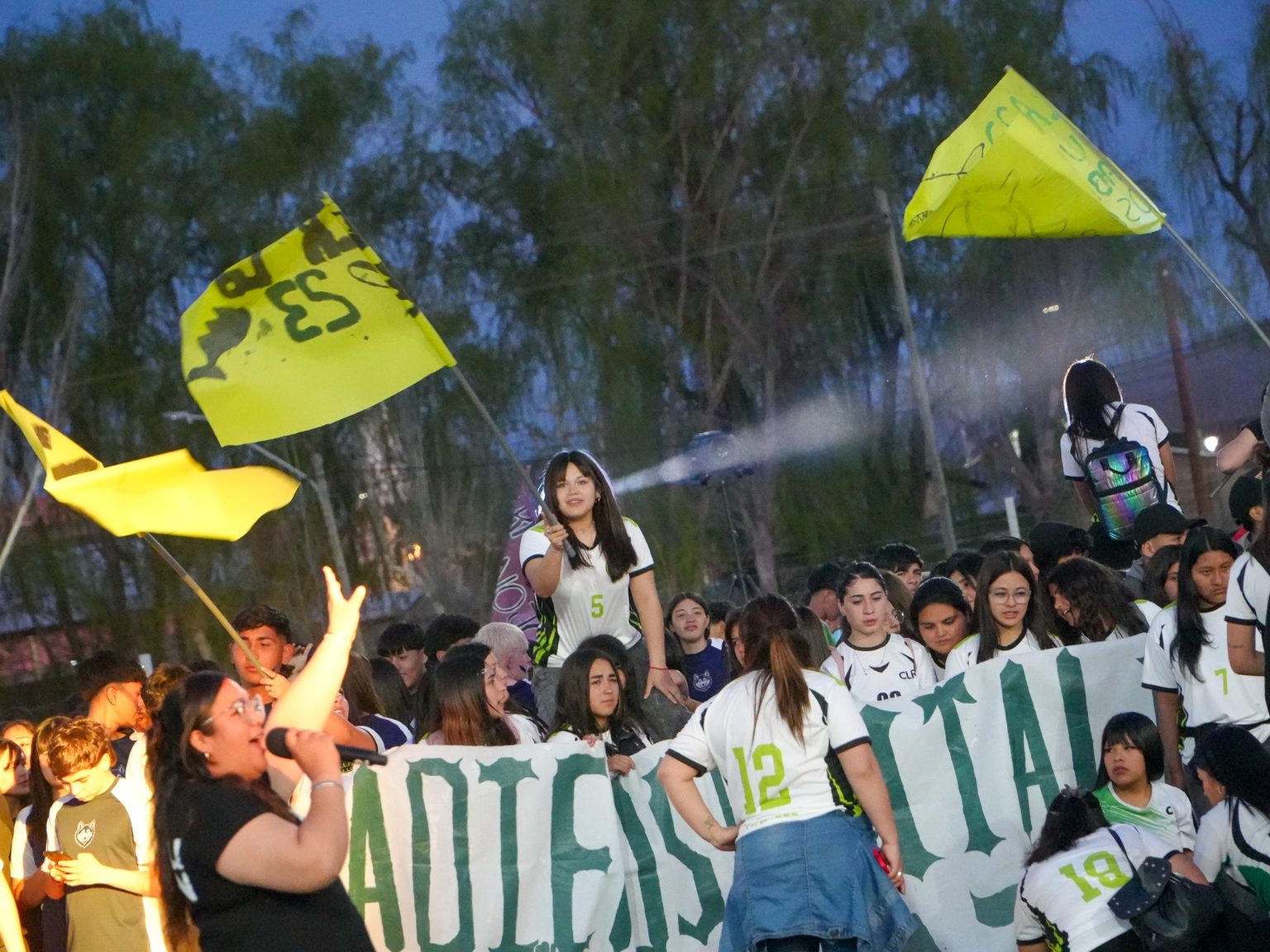 Imagen adicional