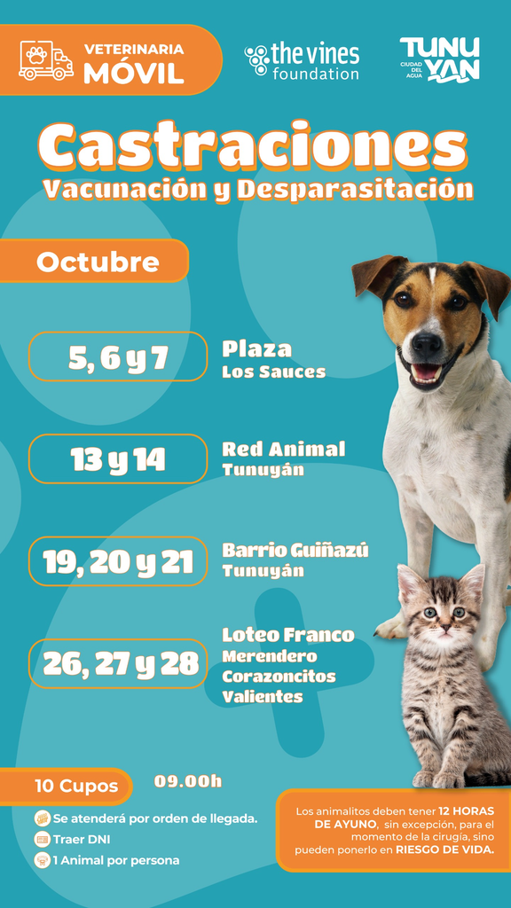 Imagen adicional