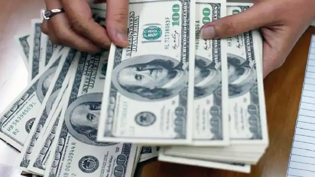 PANORAMA DEL DÓLAR: PARA UN EXPERIMENTADO OPERADOR BURSÁTIL "NO VA A HABER PRESIÓN SOBRE EL MERCADO"
