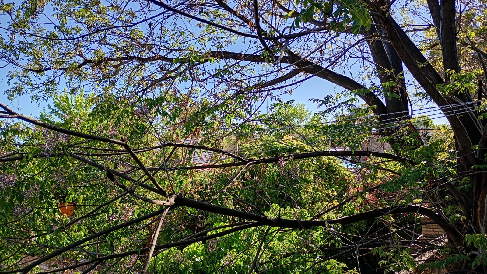 EL CLIMA: DOMINGO ALGO NUBLADO CON ASCENSO DE LA TEMPERATURA